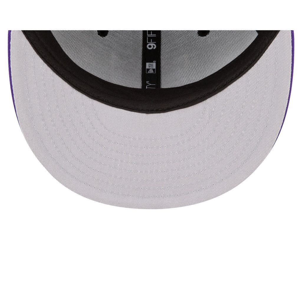 Sacramento Kings Two Tone 9FIFTY Snapback Hat