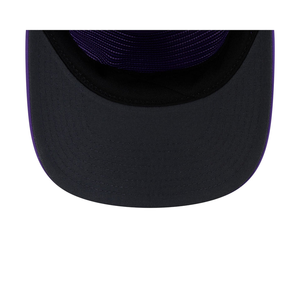 Minnesota Vikings 2026 Sideline 19TWENTY Snapback Hat